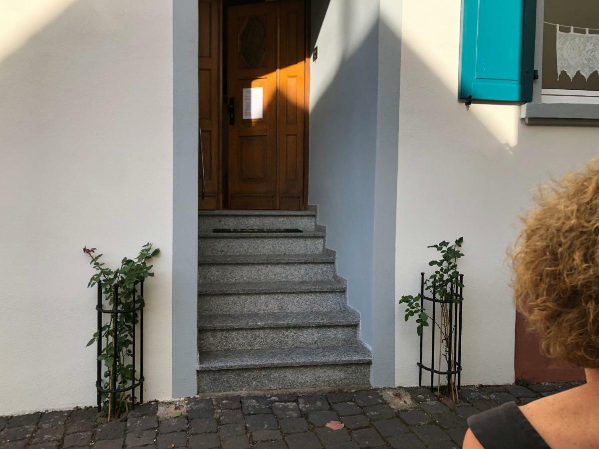 Paulusstrasse 3 Villa Ediger-Eller Dış mekan fotoğraf